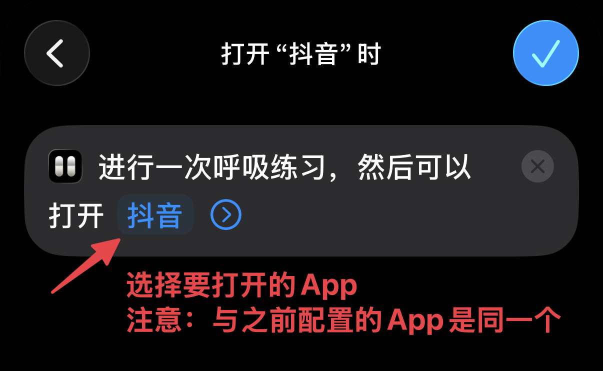 配置指南 - 指定目标 App